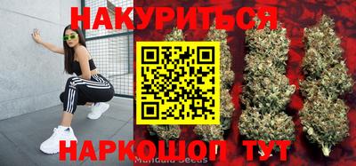 дмт Пушкино