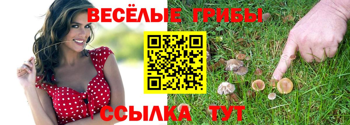Псилоцибиновые грибы мицелий  Галлюциногенные грибы GOLDEN TEACHER  Вход с VPN  Советская Гавань 