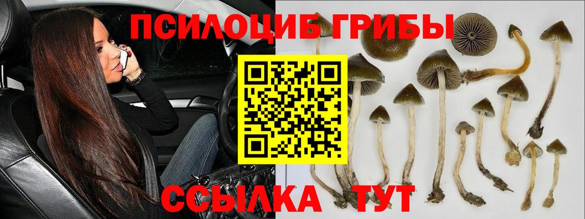 Псилоцибиновые грибы ЛСД Советская Гавань
